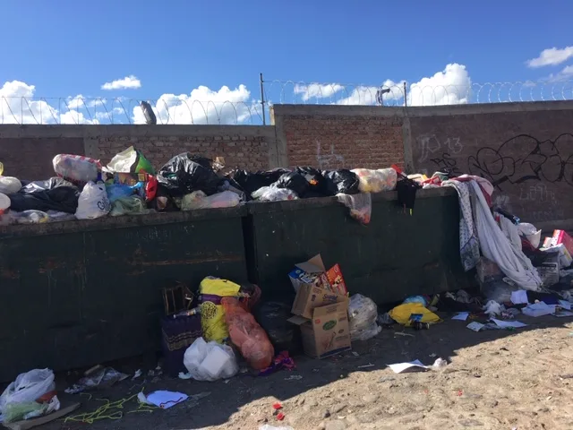 Alertan sobre el abandono indebido de mascotas fallecidas en espacios públicos y contenedores