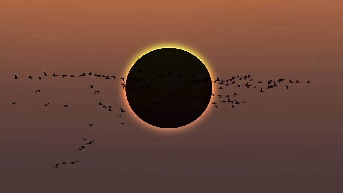 Cómo afecta un eclipse solar a los animales y sus ritmos naturales