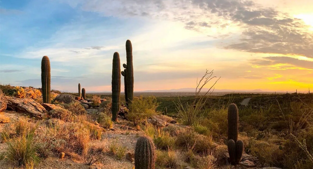 Hermosillo enfrentará un día con temperaturas máximas de hasta 40°C y alto índice UV