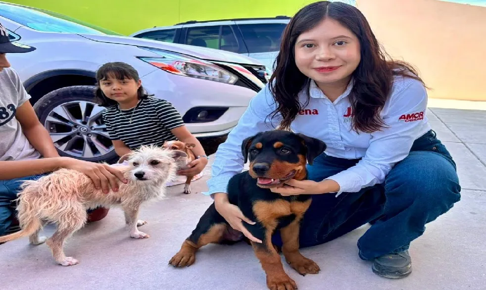 Jael Argüelles lidera campaña gratuita de esterilización y salud animal en Ciudad Juárez
