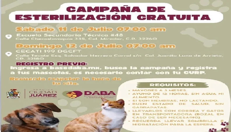Jornada gratuita de esterilización para mascotas con registro previo este fin de semana