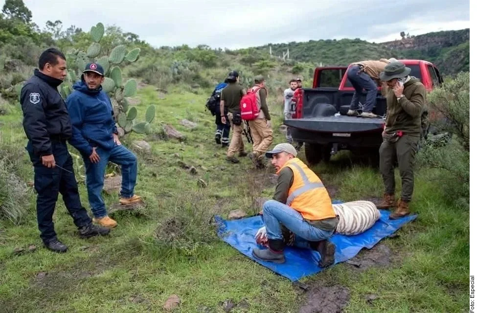 La UNAM confirma que una bala causó la muerte del tigre Kenzo tras su escape