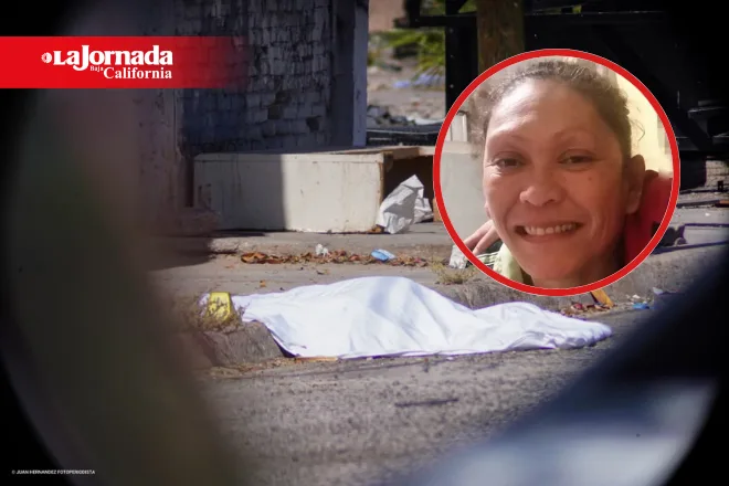 Mujer muere tras ataque de 17 perros en Mexicali; familiares exigen investigación