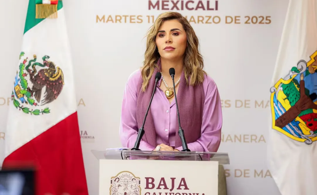 Recomiendan a Marina del Pilar Ávila solicitar licencia ante próxima filtración de audios