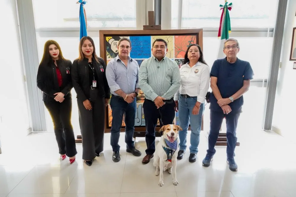 UABJO y Nissan impulsan campaña con mil esterilizaciones gratuitas en Oaxaca