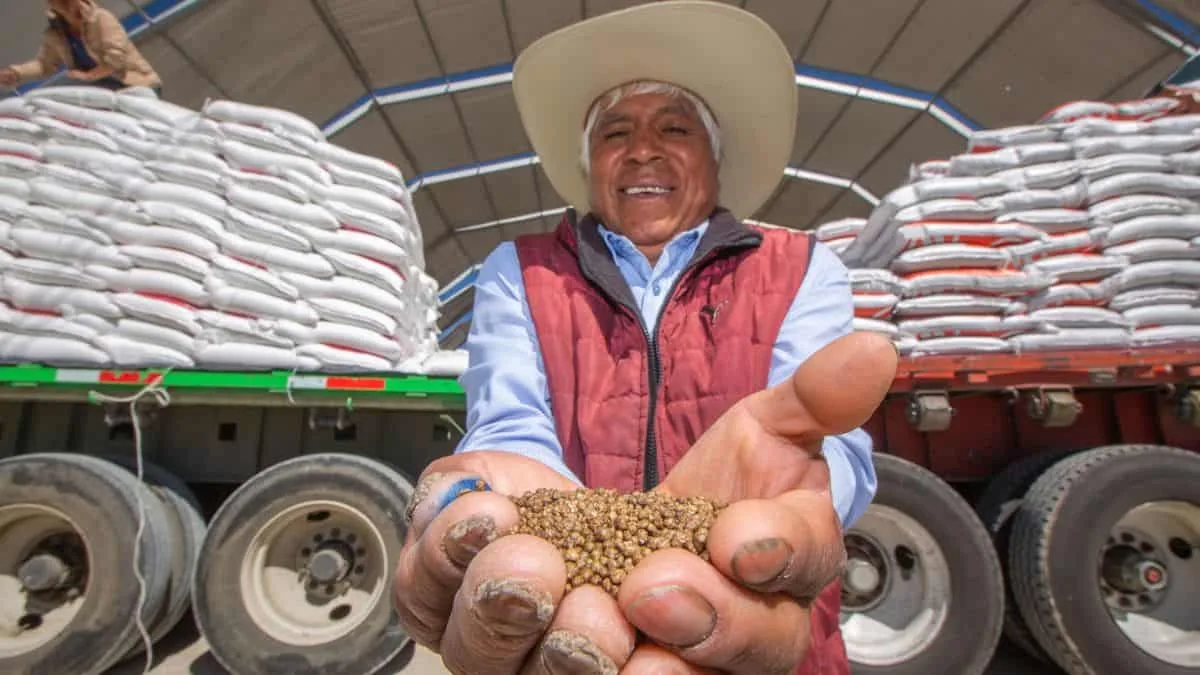 Apoyo mensual de 6,450 pesos para proyectos agroforestales en zonas rurales